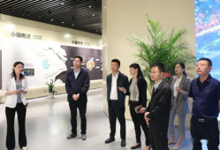 91b站直播苏州市,苏州市魅力风采尽收眼底