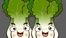 白菜漫画图片,趣味横生的日常趣事